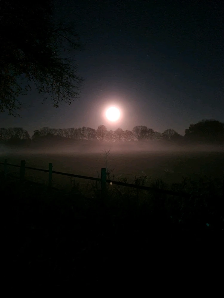 GIF hochgeladen von Matthias