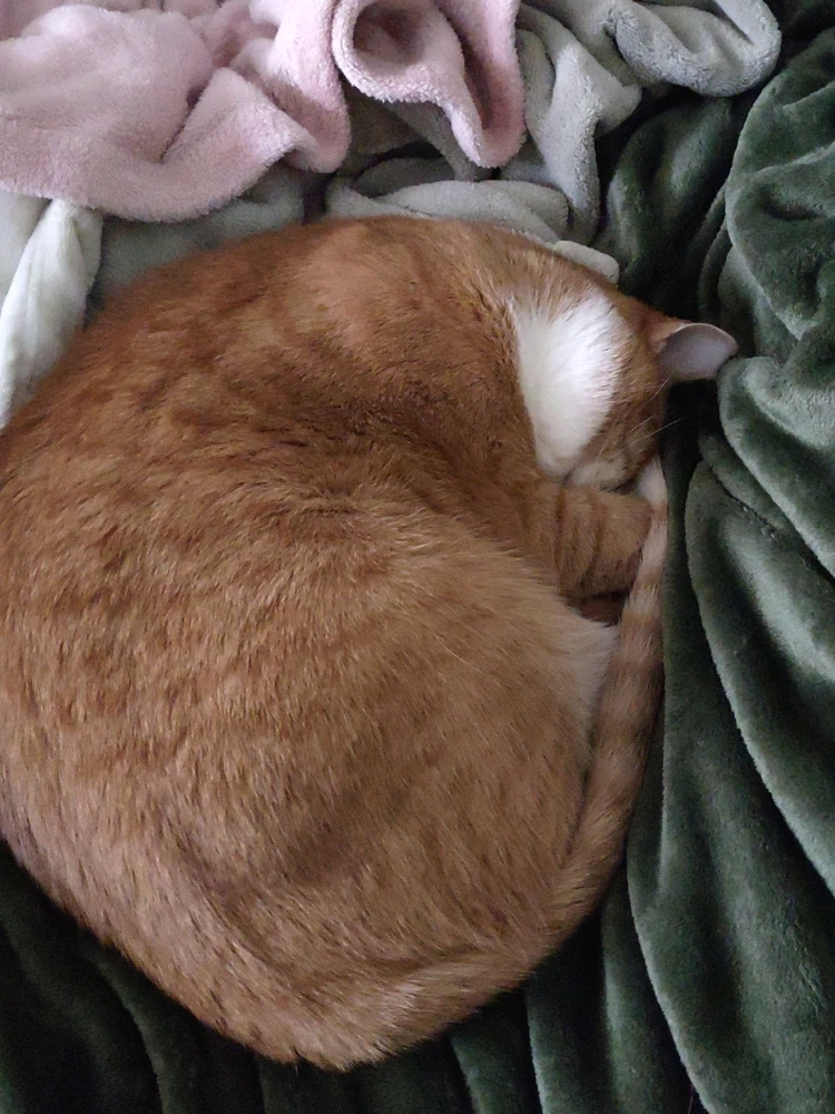 Just an orange ball... Nothin' to see here