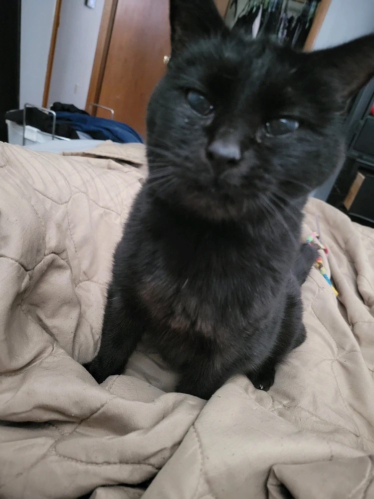 GIF uploaded by Stazi