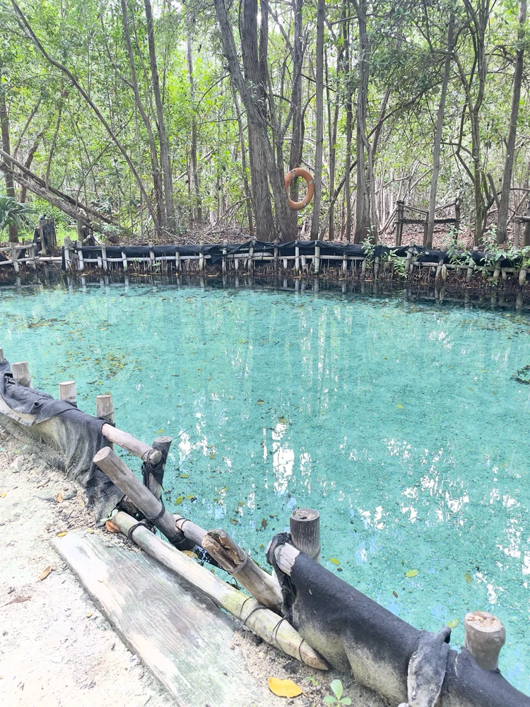 Imagen subida por Arturo