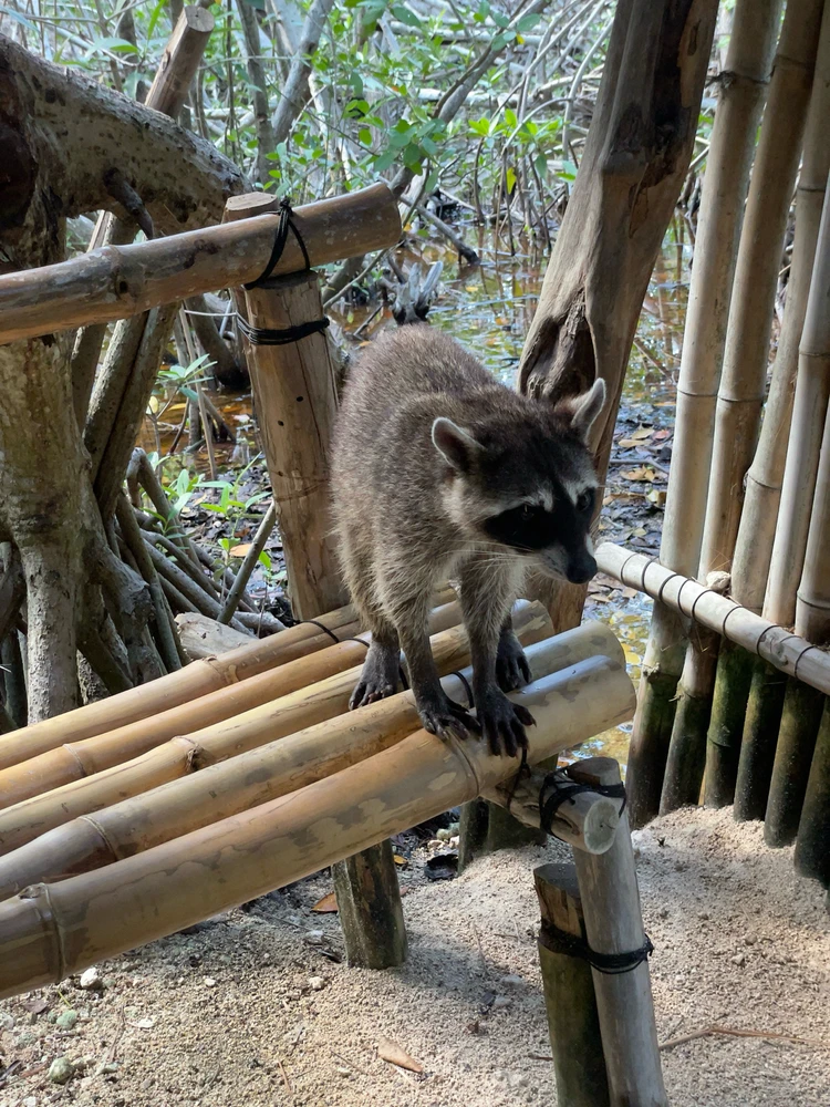 Imagen subida por Arturo