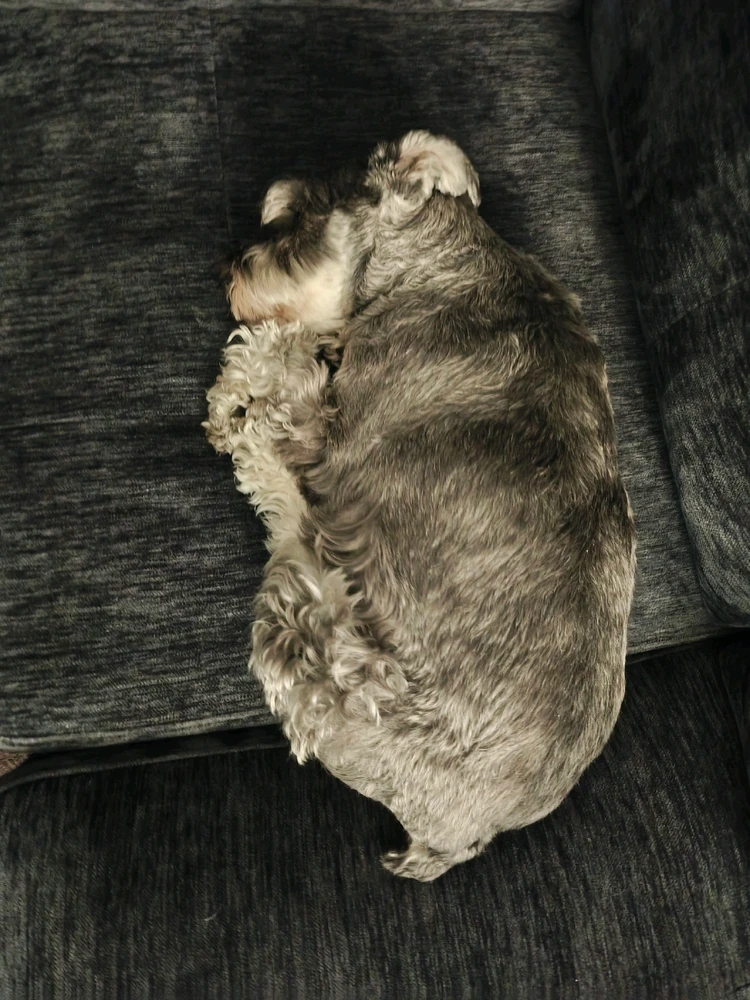 GIF uploaded by Kyuubi El Jorge