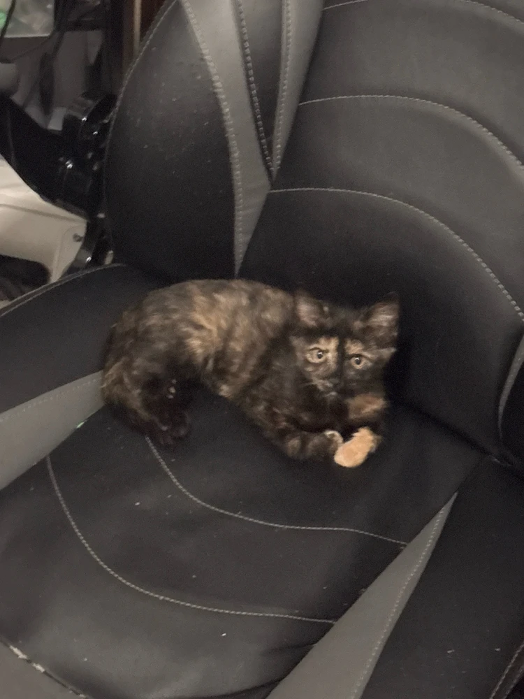 No matter how old she gets, my personal space is HER personal space π