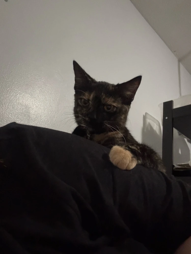 No matter how old she gets, my personal space is HER personal space π