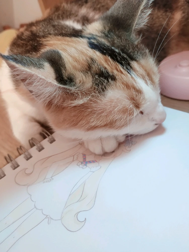 GIF dodany przez Kalina