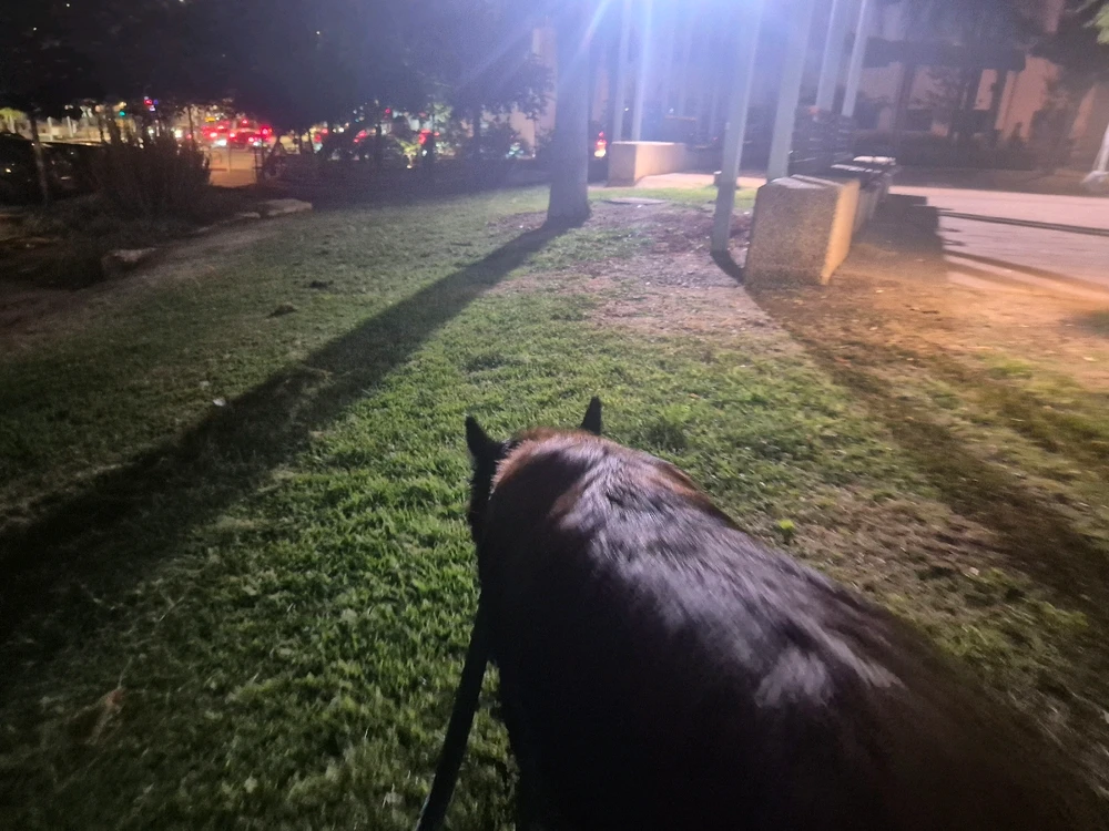 תמונה שהועלתה על ידי Ido