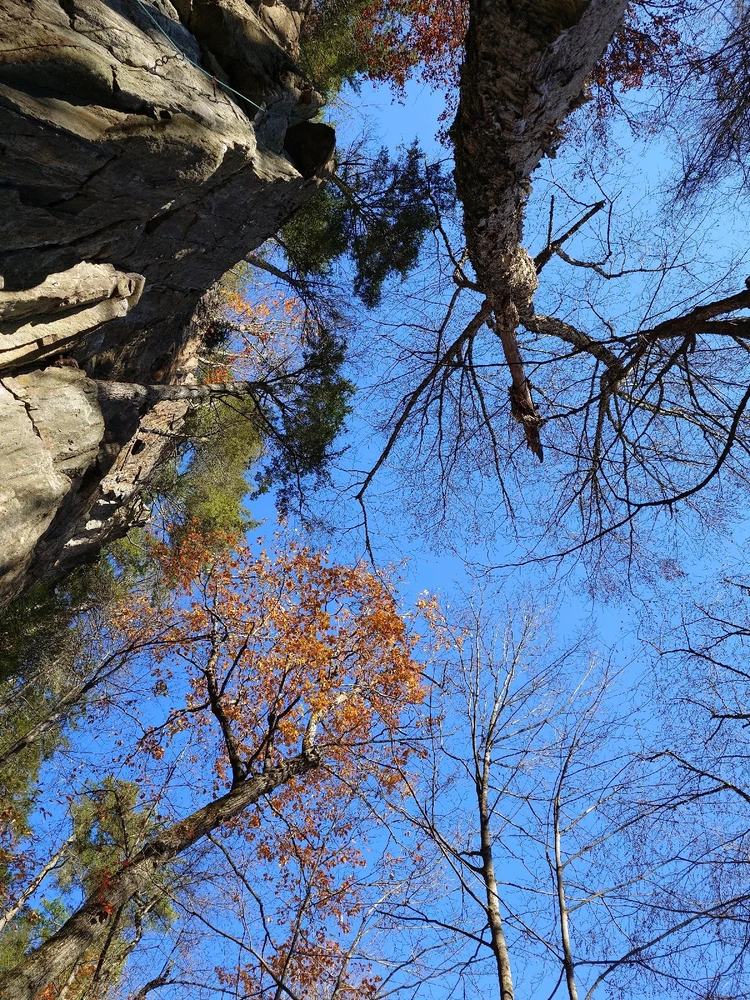 Image uploaded by Maybe