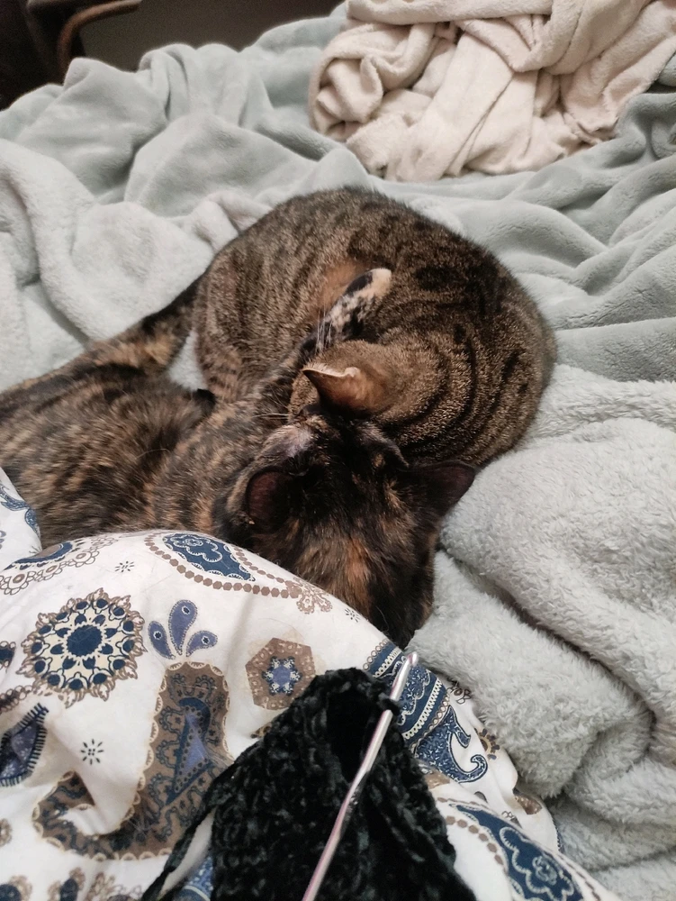 A peaceful evening...