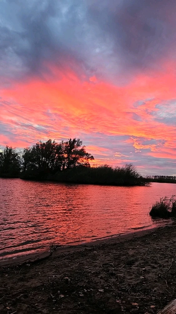 Afbeelding geüpload door Frank