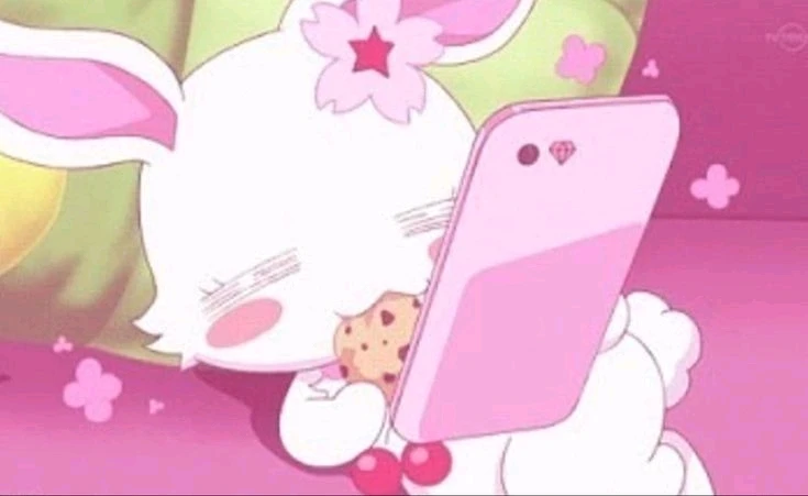 Finally got 小红书 back