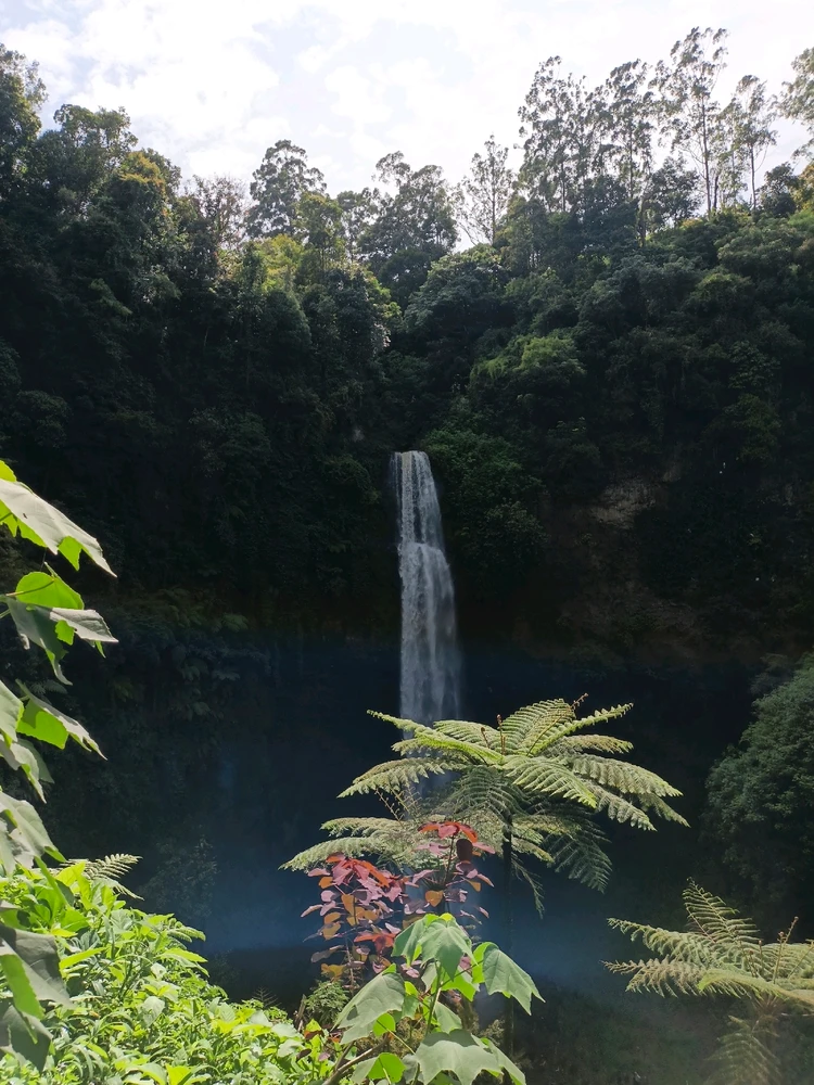 Image uploaded by Lishah