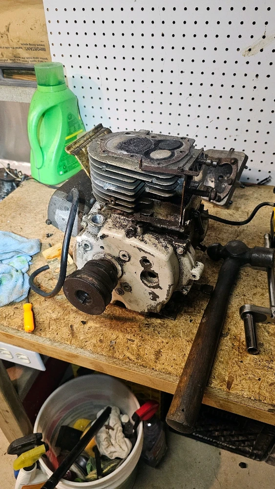 Image uploaded by Ken