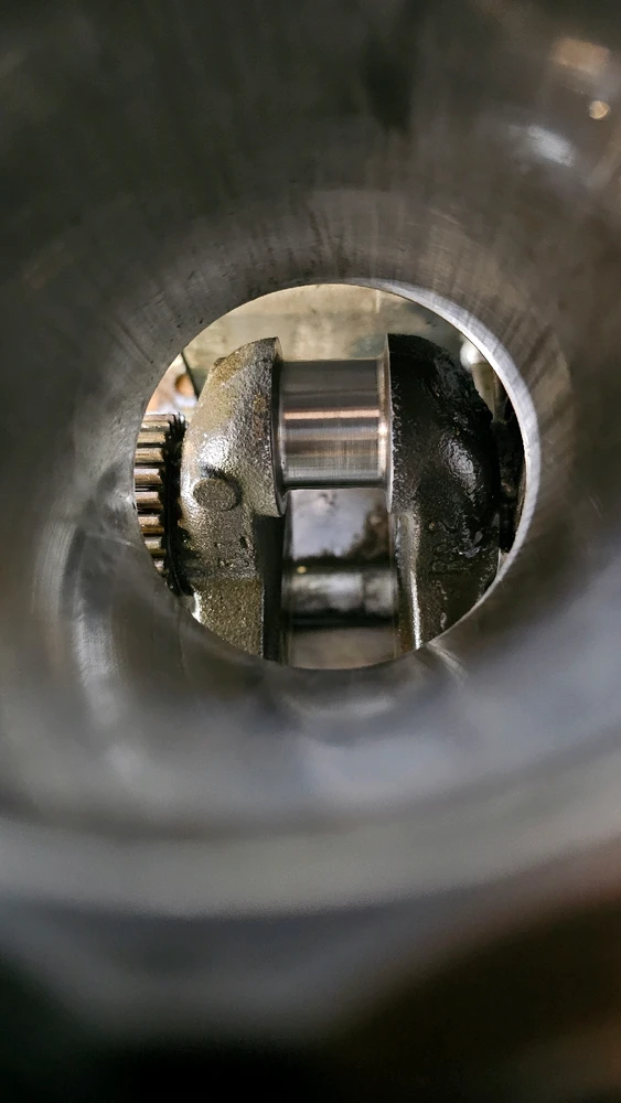 Image uploaded by Ken