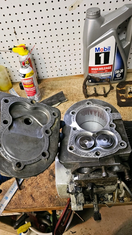 Image uploaded by Ken