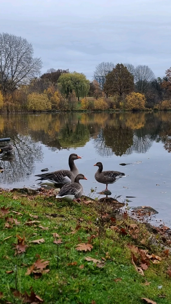 Fotku nahral/-a Michaela