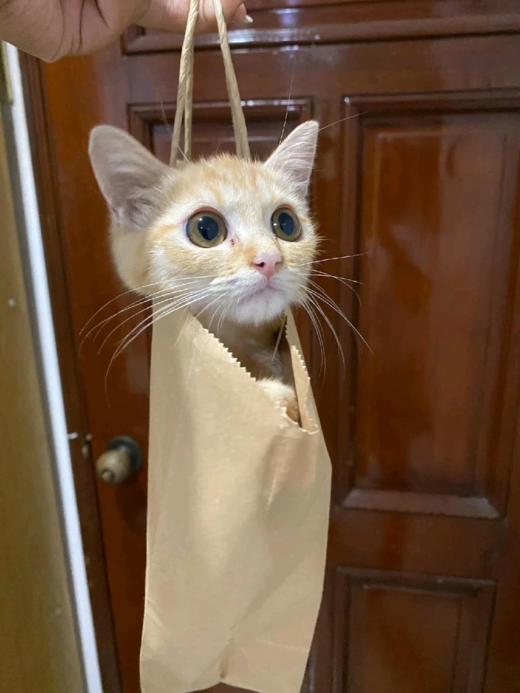 GIF uploaded by Kath