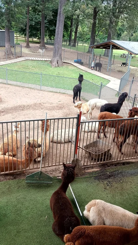 GIF diunggah oleh khadafi