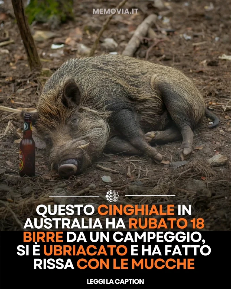 GIF caricata da Liam