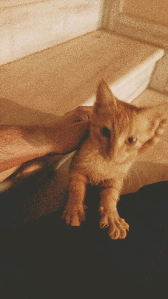 Image uploaded by Steve