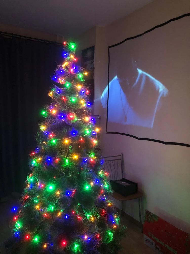 И снова Полный Джингл Бела🎄🙌🏼🙀