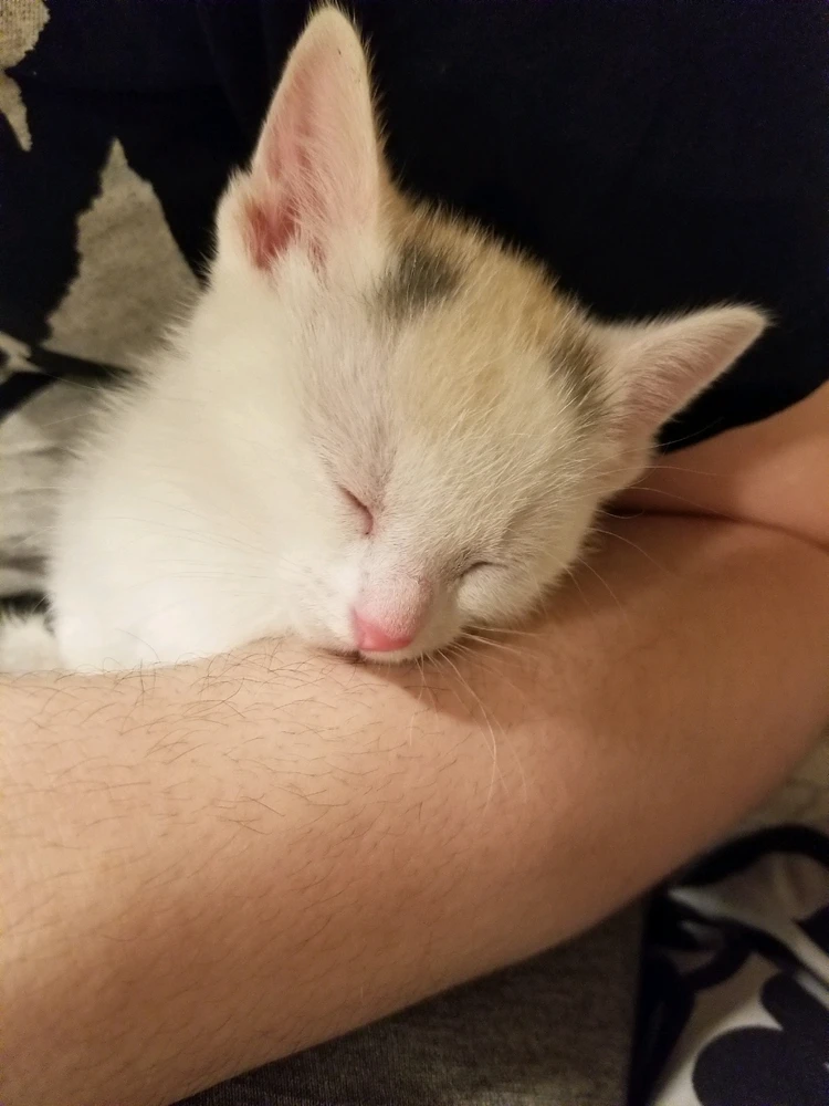 Seems selfish to not share these