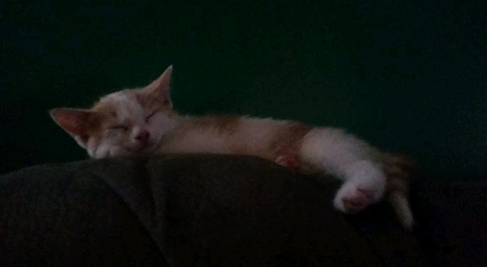 Seems selfish to not share these