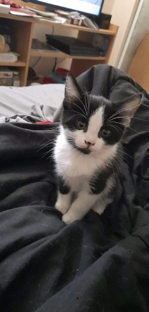 Seems selfish to not share these