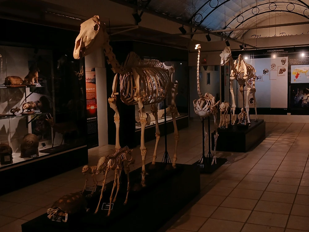 Imagem enviada por Pedro