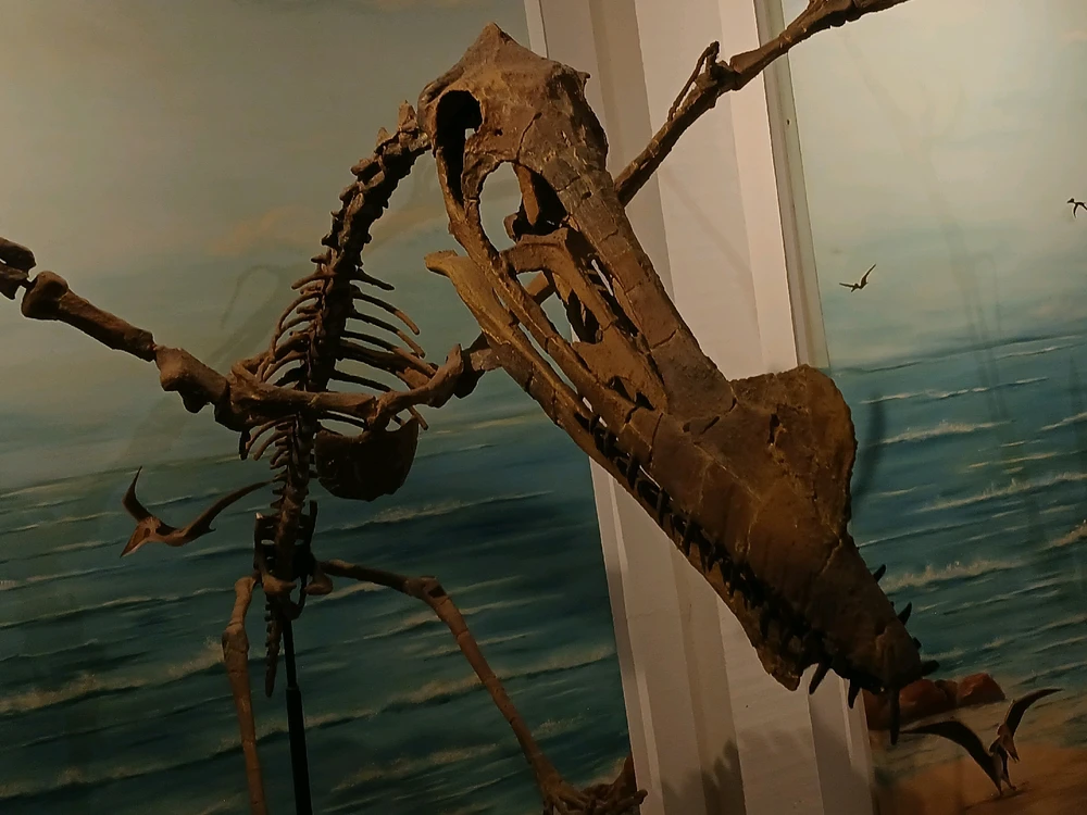 Imagem enviada por Pedro