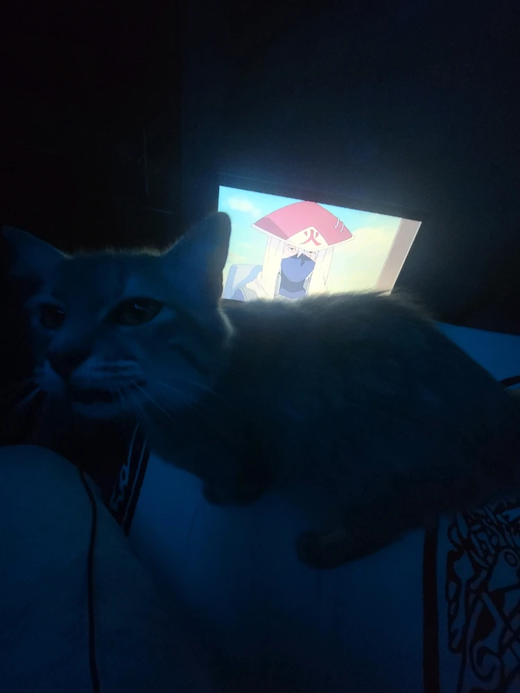 GIF subido por Betto