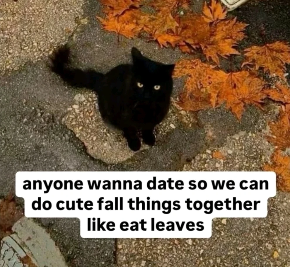 GIF uploaded by Kenan