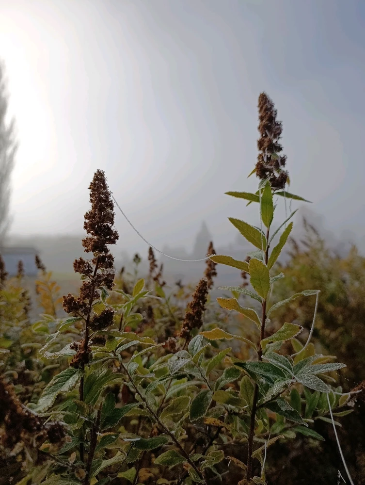 Obrázek nahrál ⭕⭕ Hlubina