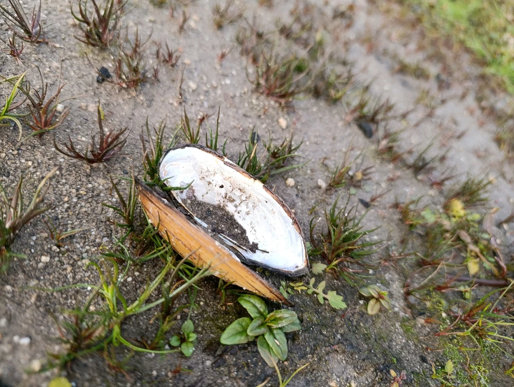 Obrázek nahrál ⭕⭕ Hlubina