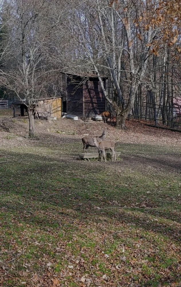 Obrázek nahrál ⭕⭕ Hlubina