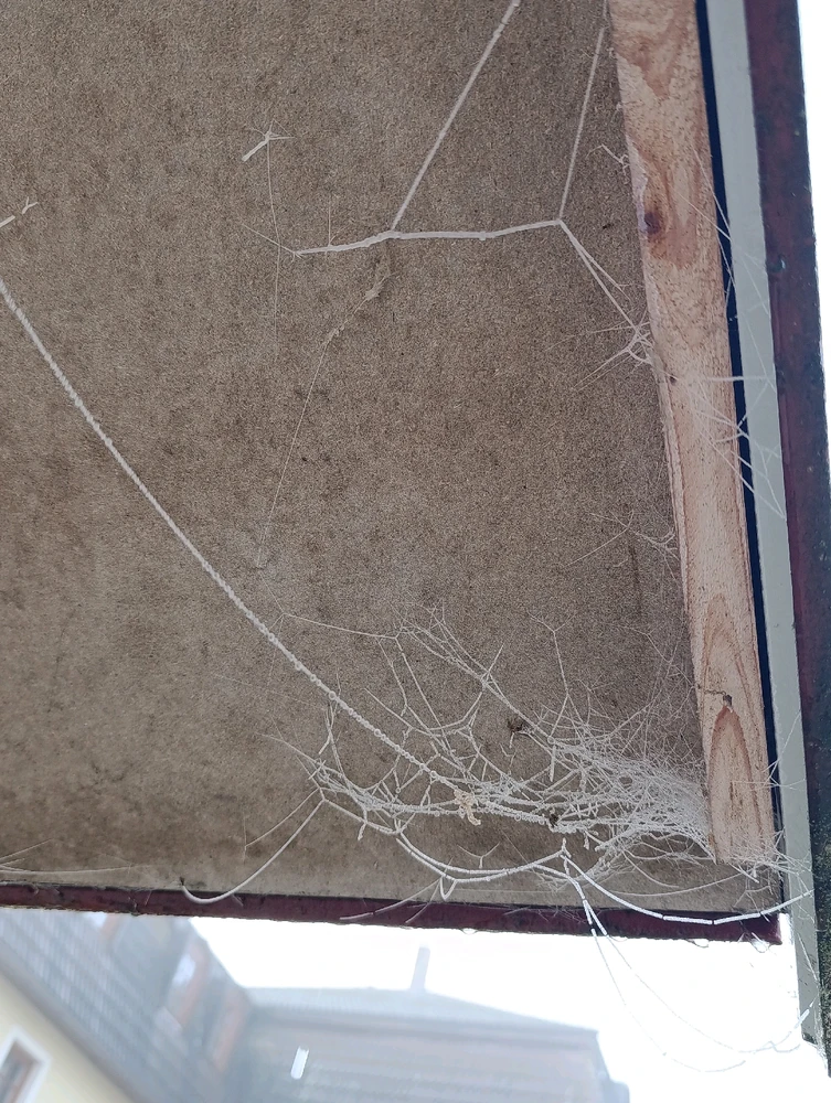 Obrázek nahrál ⭕⭕ Hlubina