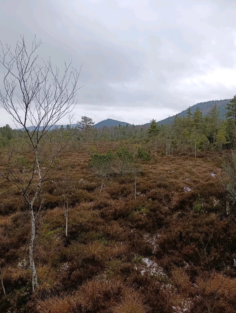 Obrázek nahrál ⭕⭕ Hlubina