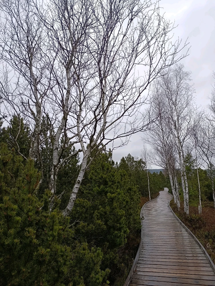 Obrázek nahrál ⭕⭕ Hlubina