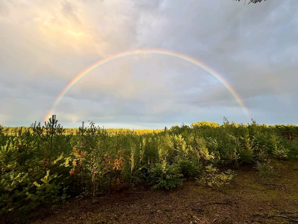 GIF dodany przez Przemek