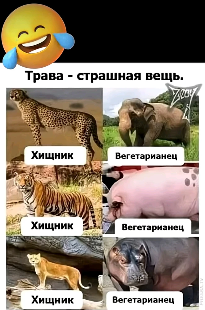 Всем доброго денёчка и хорошего настроения ! 👋