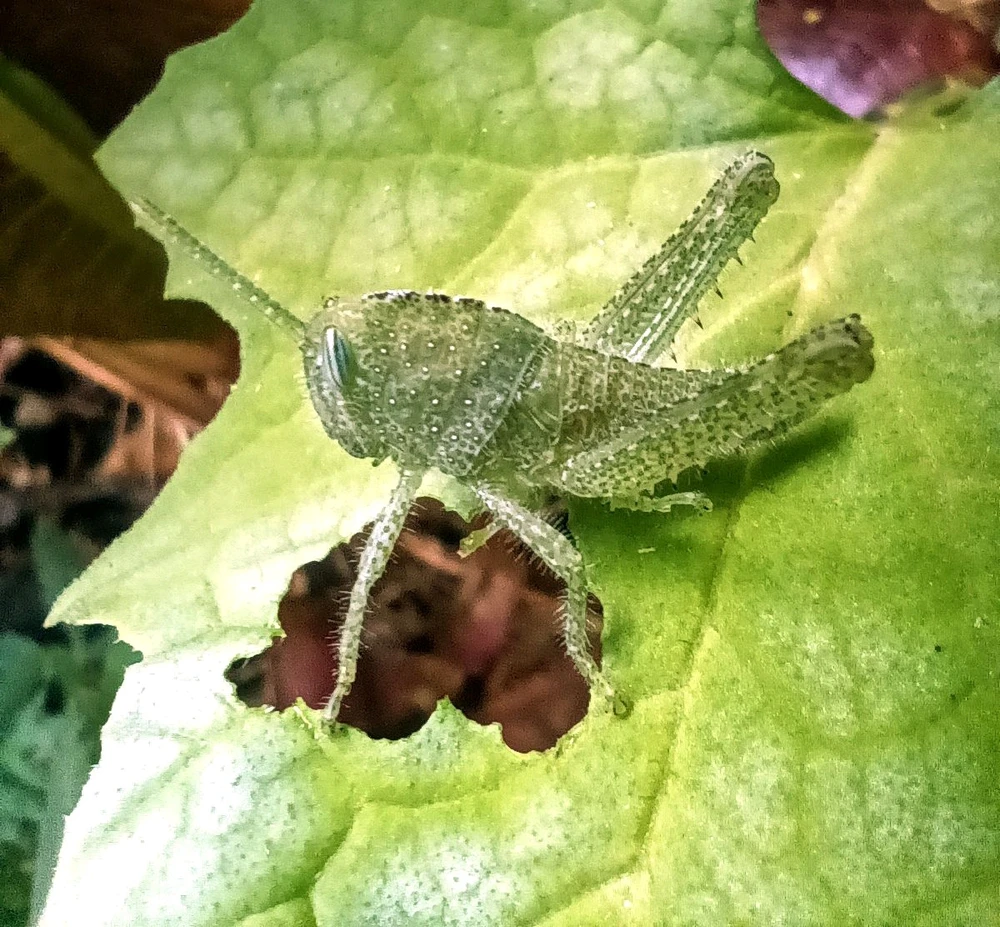 GIF uploaded by Christine