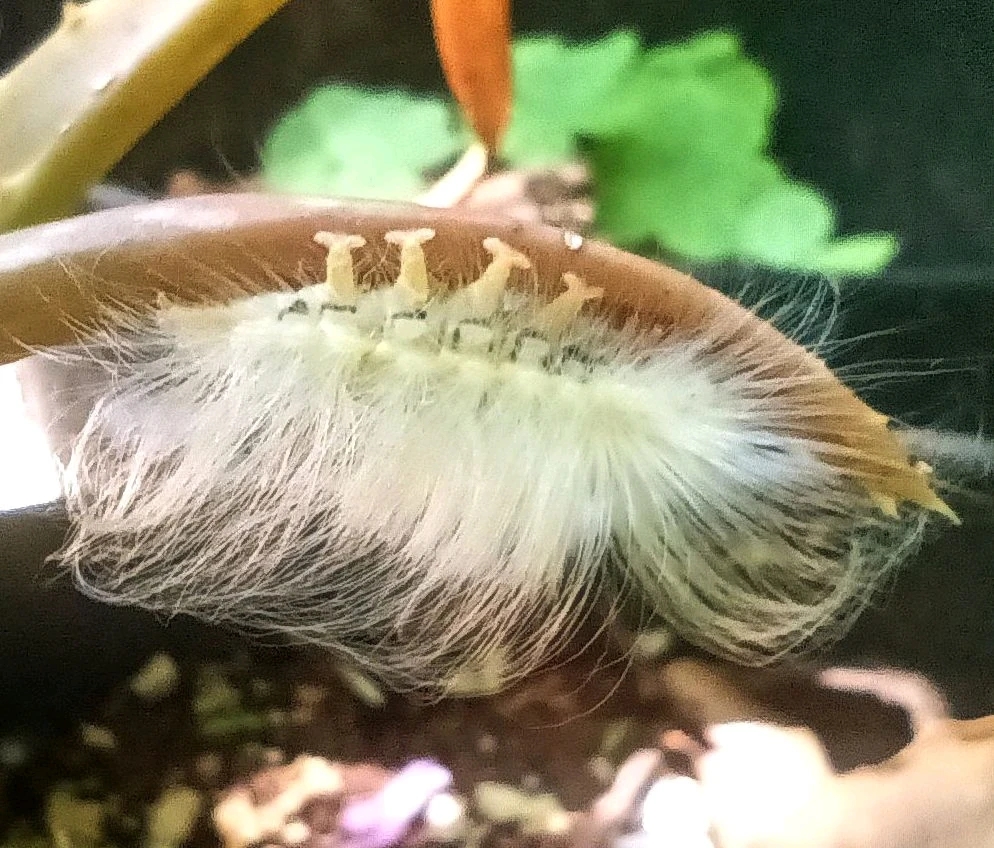 GIF uploaded by Christine