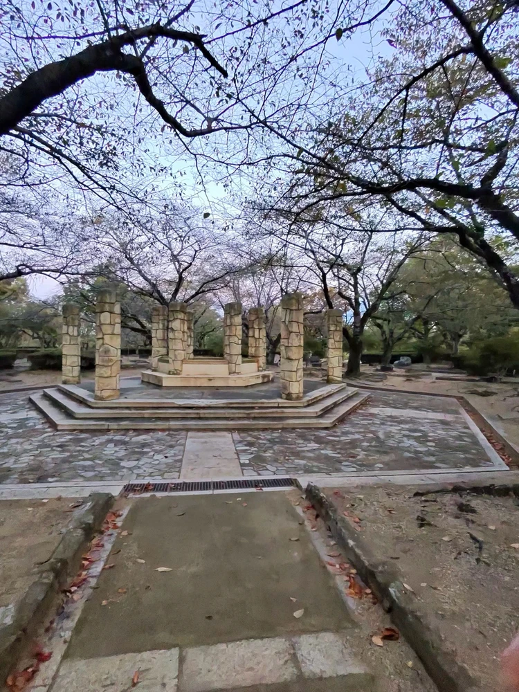 First solo trip to Japan