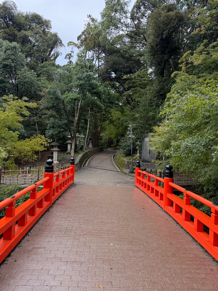 First solo trip to Japan