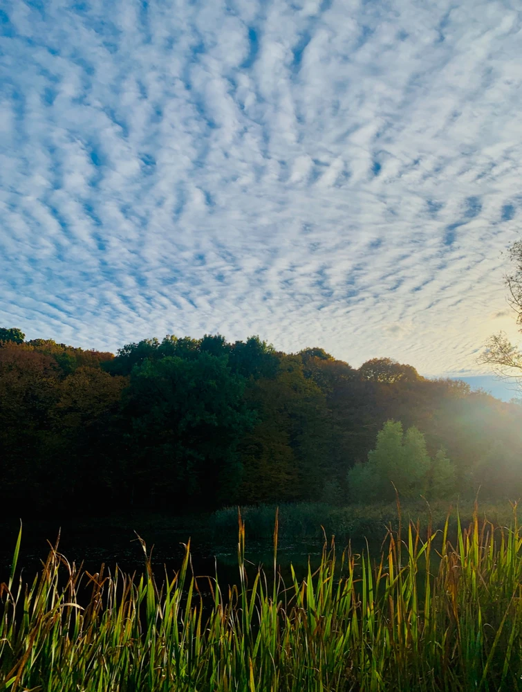 Присутствие