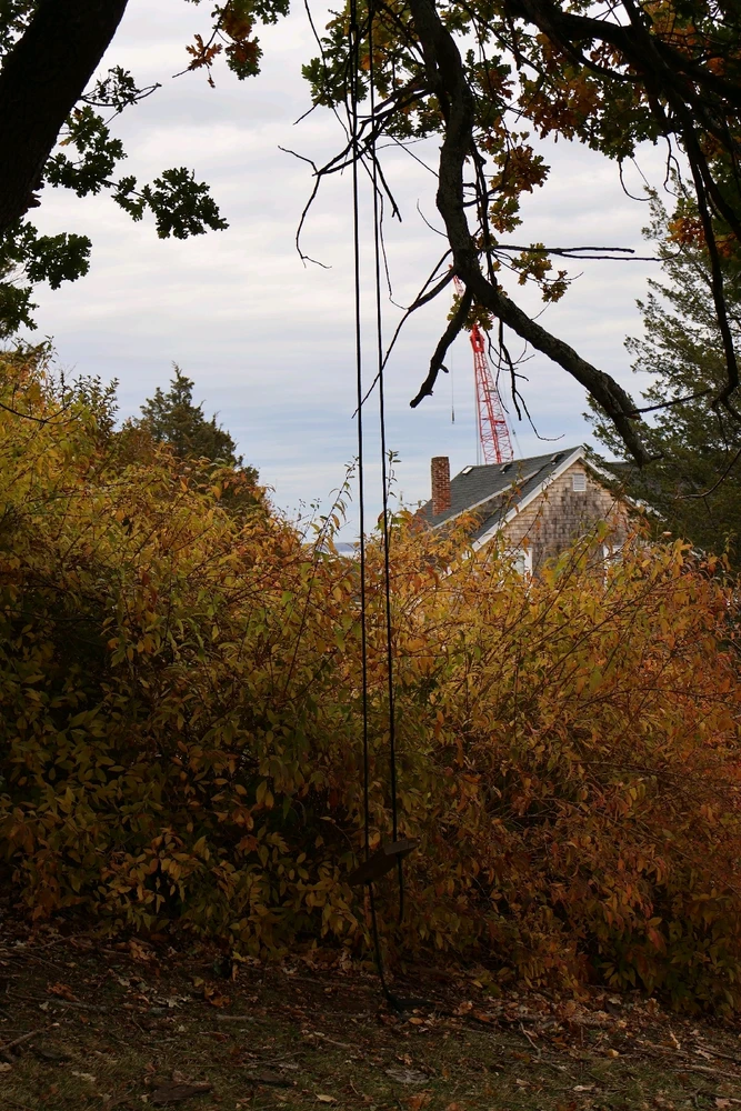 Image uploaded by Renée