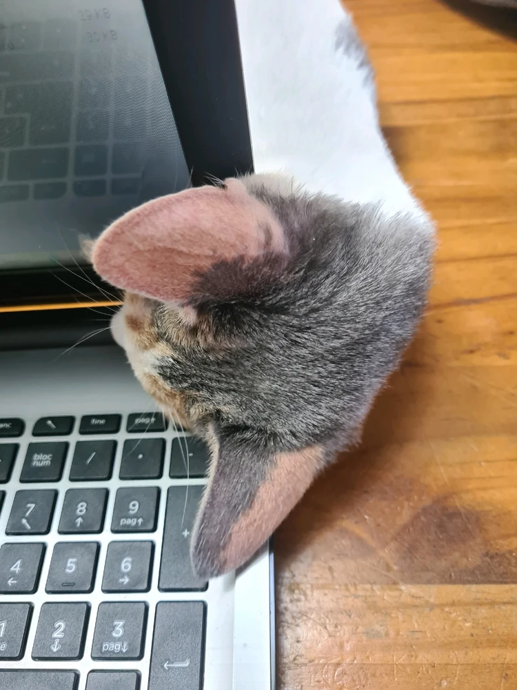 LA LOVE STORY CONTINUA