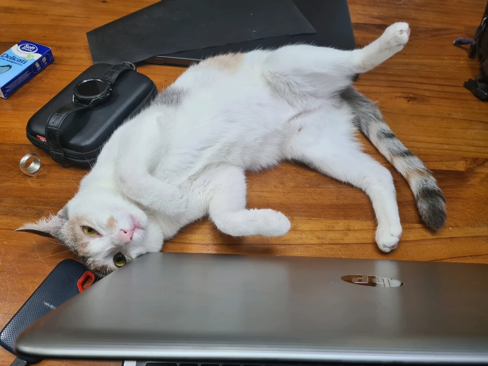 LA LOVE STORY CONTINUA