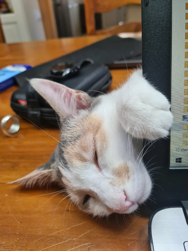 LA LOVE STORY CONTINUA