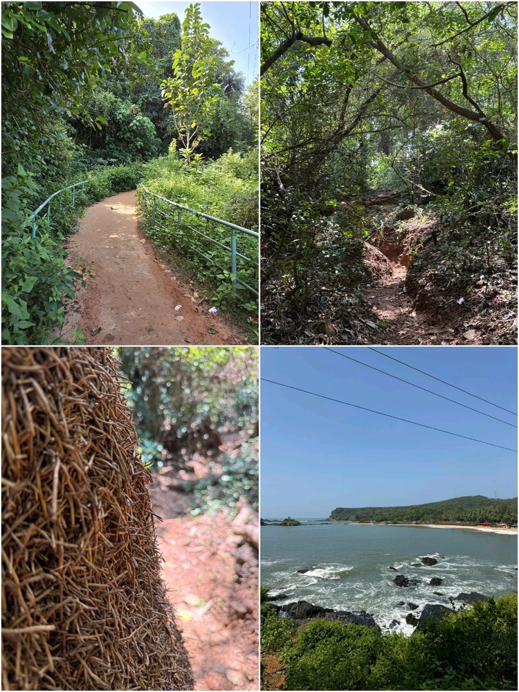 The trail that leads to a breathtaking view