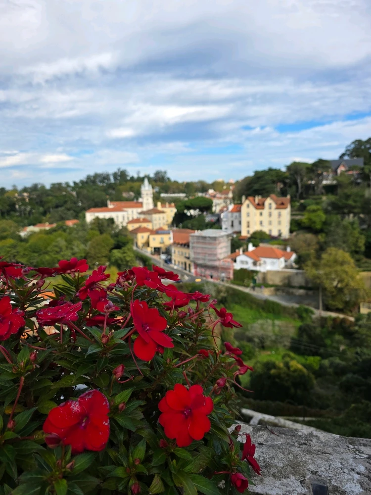 Image uploaded by Wajeeh